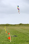 PENVINS 2012 - 0015
